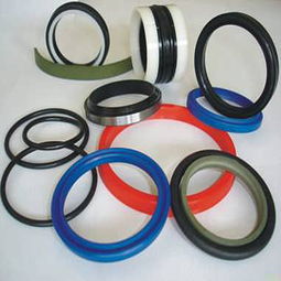 高壓釜密封圈