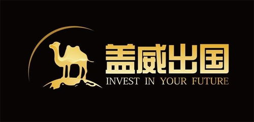 上海蓋威投資咨詢 專業(yè)投資顧問服務(wù)助力財(cái)富增長